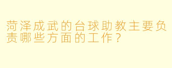 菏泽成武的台球助教主要负责哪些方面的工作?
