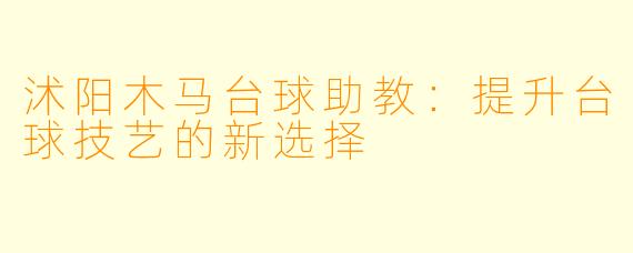 沭阳木马台球助教:提升台球技艺的新选择