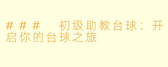 ### 初级助教台球：开启你的台球之旅