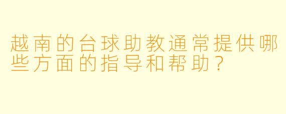 越南的台球助教通常提供哪些方面的指导和帮助?
