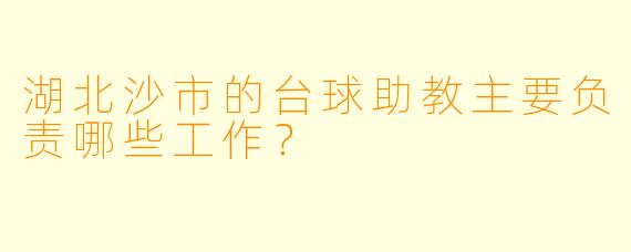 湖北沙市的台球助教主要负责哪些工作？