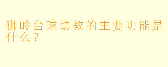 狮岭台球助教的主要功能是什么？