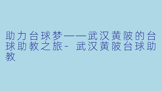 助力台球梦——武汉黄陂的台球助教之旅-武汉黄陂台球助教
