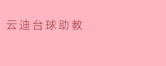 云迪台球助教