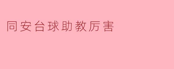 同安台球助教厉害