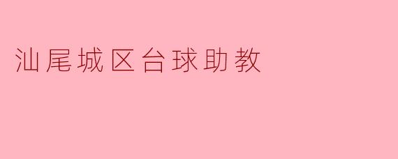 汕尾城区台球助教