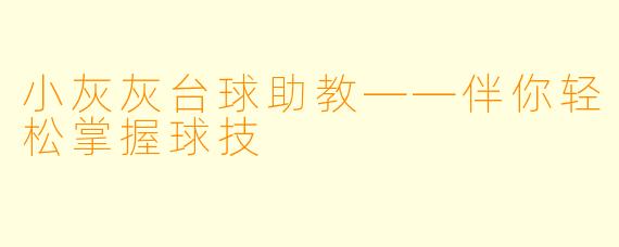 小灰灰台球助教——伴你轻松掌握球技