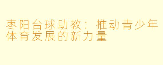 枣阳台球助教：推动青少年体育发展的新力量