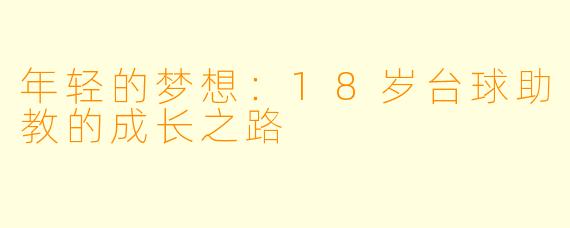 年轻的梦想：18岁台球助教的成长之路