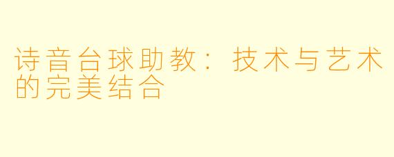 诗音台球助教：技术与艺术的完美结合
