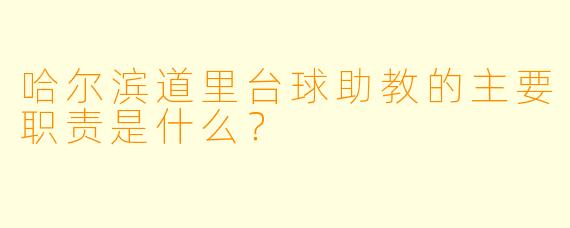 哈尔滨道里台球助教的主要职责是什么?