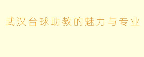 武汉台球助教的魅力与专业