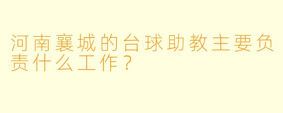 河南襄城的台球助教主要负责什么工作？