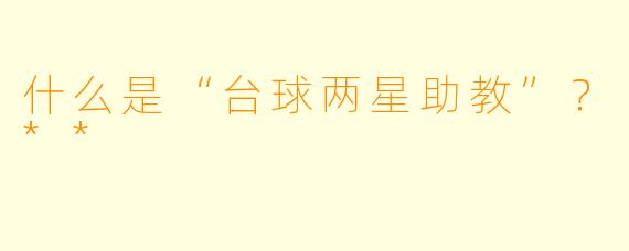 什么是“台球两星助教”？**