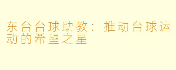 东台台球助教：推动台球运动的希望之星