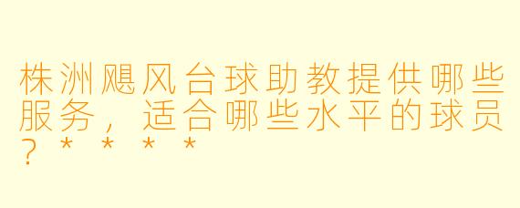 株洲飓风台球助教提供哪些服务,适合哪些水平的球员?****