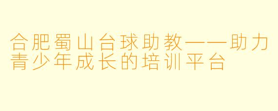 合肥蜀山台球助教——助力青少年成长的培训平台