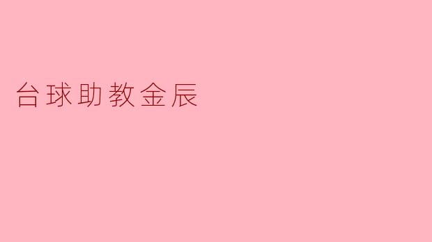 台球助教金辰