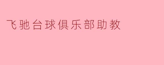 飞驰台球俱乐部助教