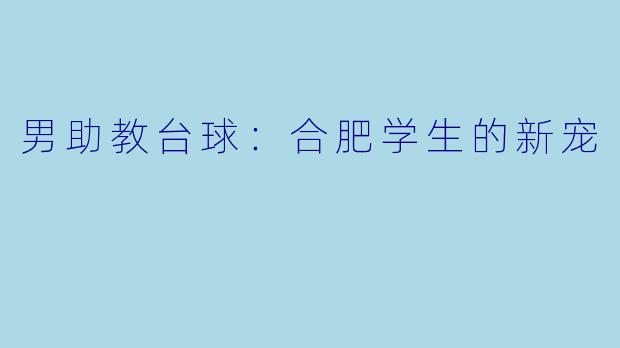 男助教台球：合肥学生的新宠