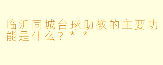 临沂同城台球助教的主要功能是什么？**