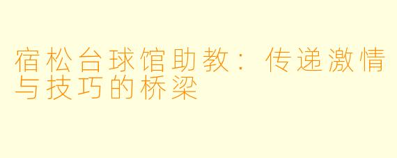 宿松台球馆助教:传递激情与技巧的桥梁