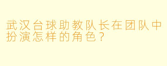 武汉台球助教队长在团队中扮演怎样的角色？