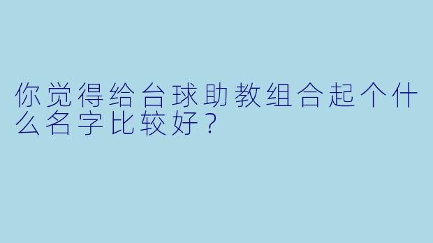 你觉得给台球助教组合起个什么名字比较好？  