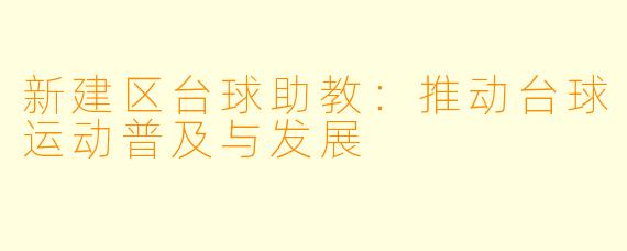 新建区台球助教：推动台球运动普及与发展
