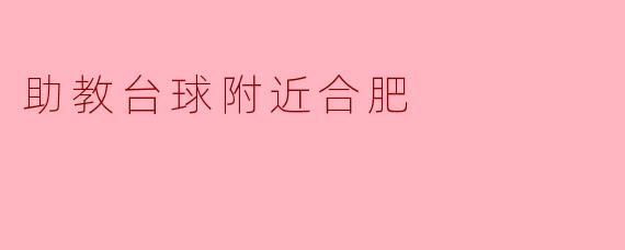助教台球附近合肥