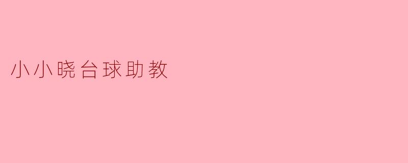 小小晓台球助教