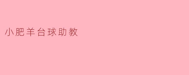 小肥羊台球助教有哪些功能和特点？