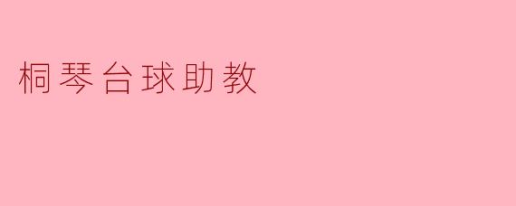 桐琴台球助教