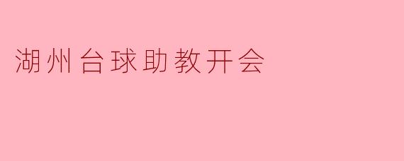 湖州台球助教研讨会:提升教学水平,共同进步