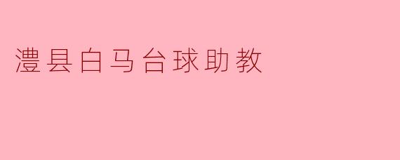 澧县白马台球助教