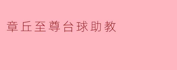 章丘至尊台球助教