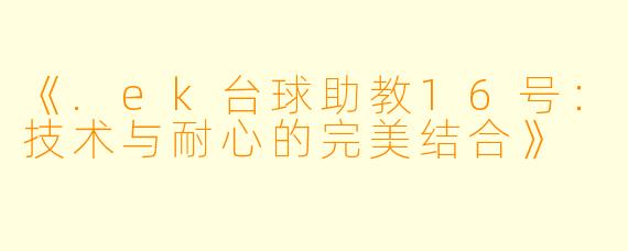 《.ek台球助教16号：技术与耐心的完美结合》