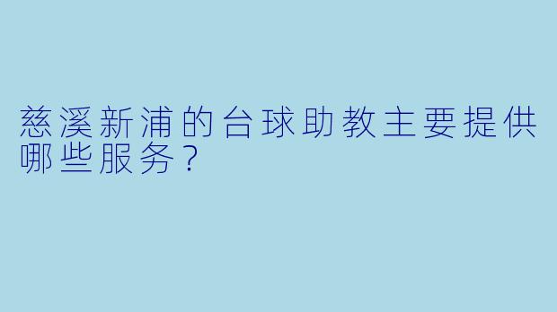 慈溪新浦的台球助教主要提供哪些服务？