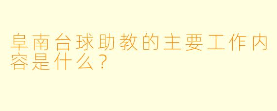 阜南台球助教的主要工作内容是什么?