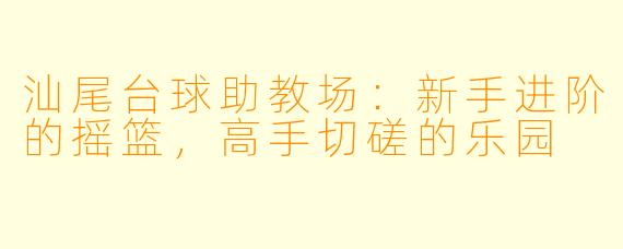 汕尾台球助教场：新手进阶的摇篮，高手切磋的乐园
