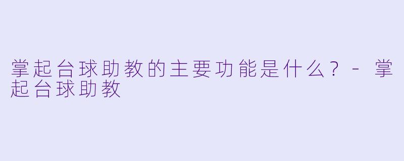 掌起台球助教的主要功能是什么?