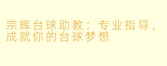 宗辉台球助教：专业指导，成就你的台球梦想