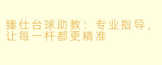 臻仕台球助教：专业指导，让每一杆都更精准