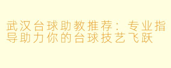 武汉台球助教推荐:专业指导助力你的台球技艺飞跃