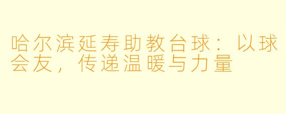 哈尔滨延寿助教台球：以球会友，传递温暖与力量
