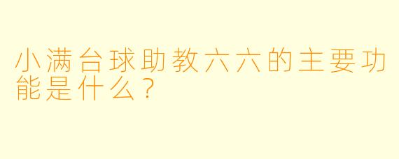 小满台球助教六六的主要功能是什么?