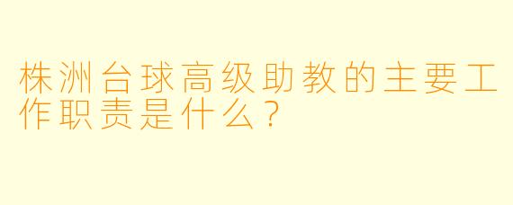 株洲台球高级助教的主要工作职责是什么？