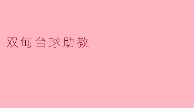 双甸台球助教