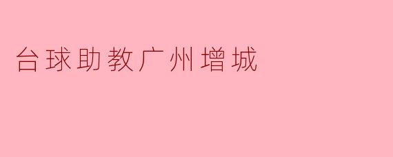 台球助教广州增城