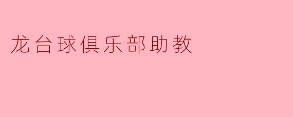 龙台球俱乐部助教的主要工作职责是什么？